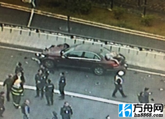 研究资料图表